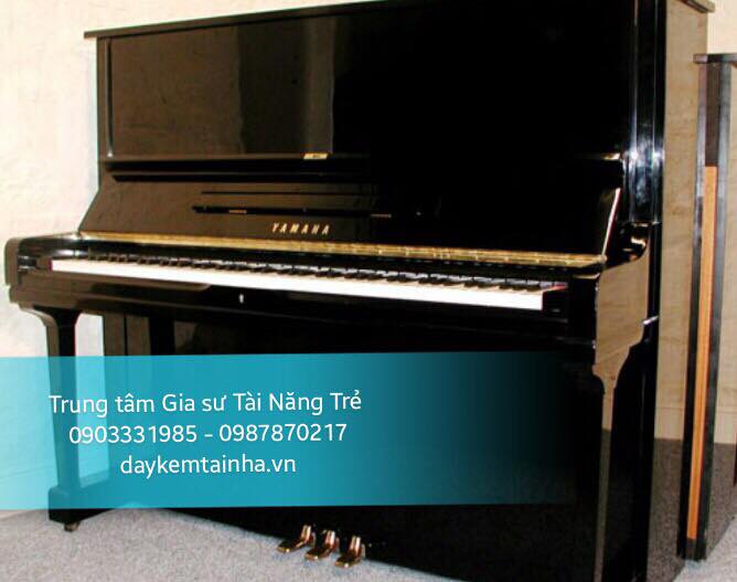 Các tiêu chí chọn mua đàn Piano cơ